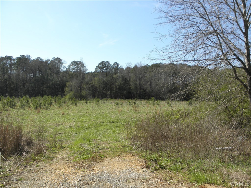 0000 Daffron Road, Cottondale, Alabama image 6