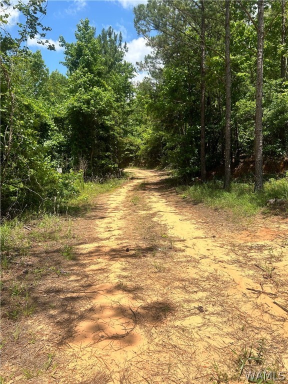 Highway 159, Gordo, Alabama image 7