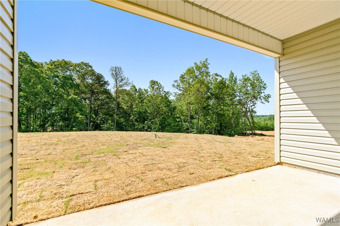 14262 Merlins Way, Tuscaloosa, Alabama image 35