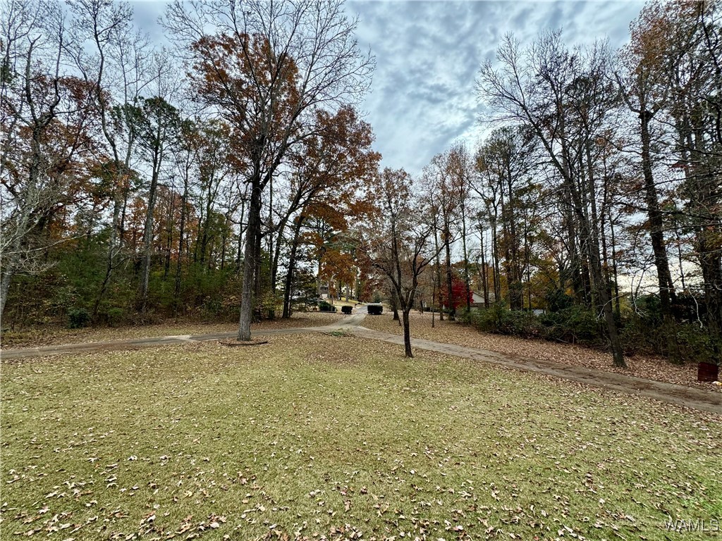 1201 Brentwood Road, Bessemer, Alabama image 44