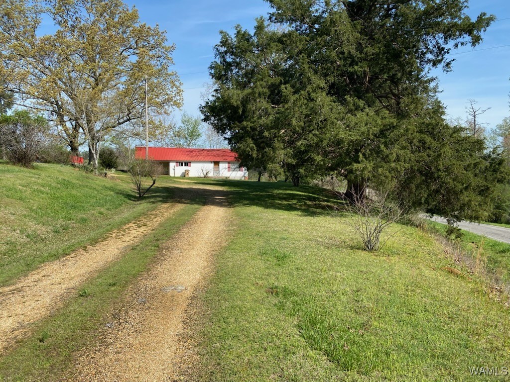 6679 Co Hwy 45, Guin, Alabama image 2