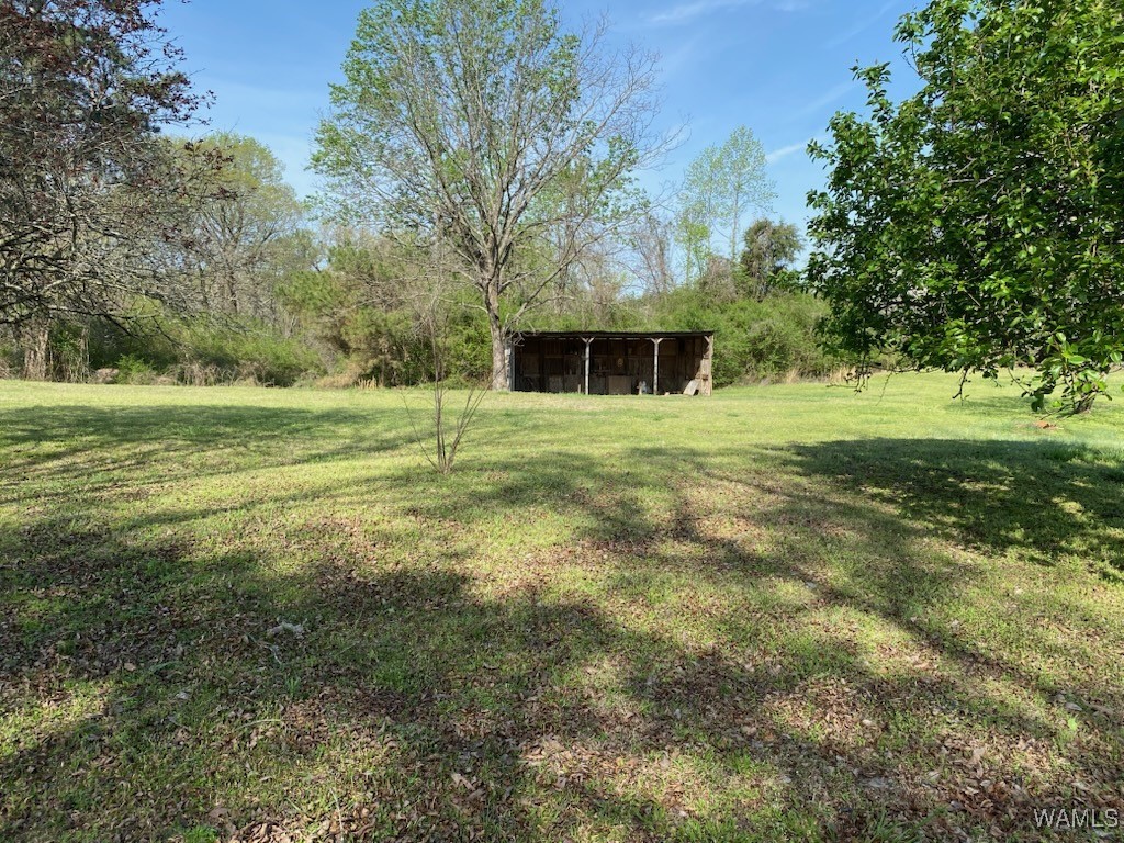 6679 Co Hwy 45, Guin, Alabama image 4