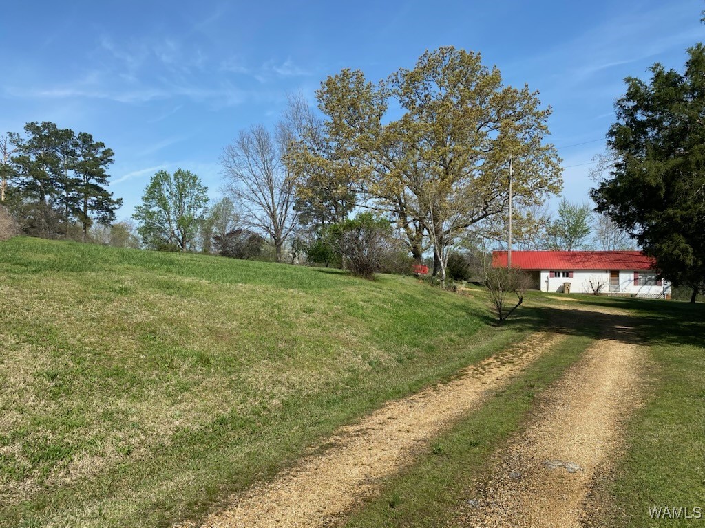 6679 Co Hwy 45, Guin, Alabama image 17