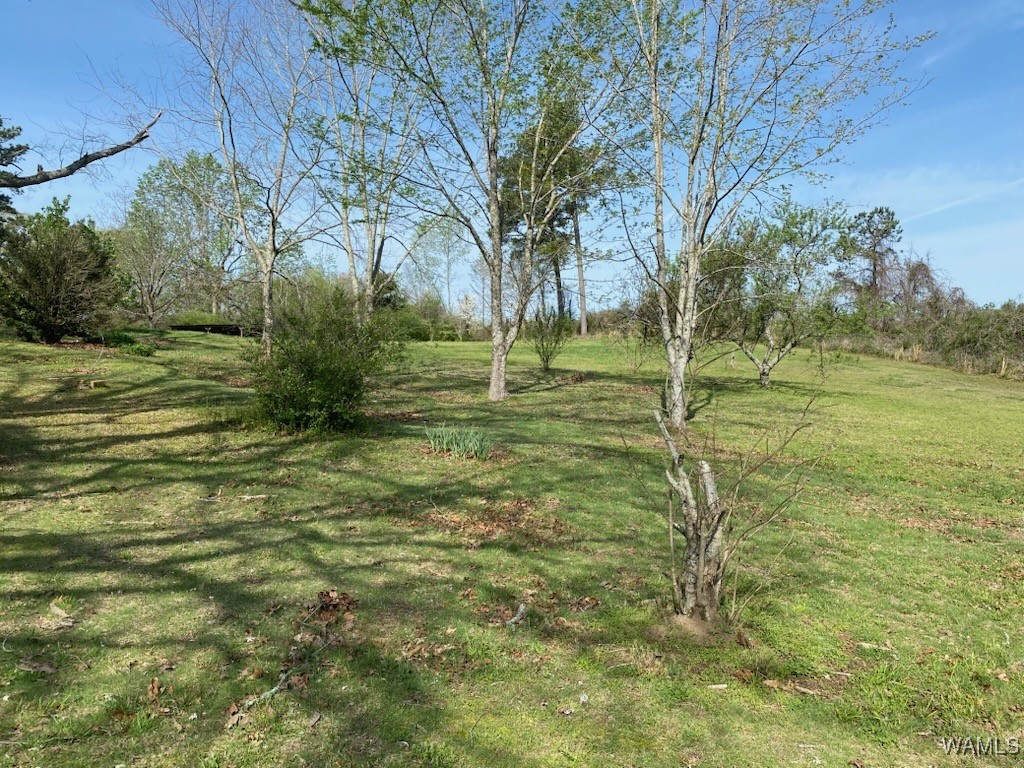 6679 Co Hwy 45, Guin, Alabama image 16