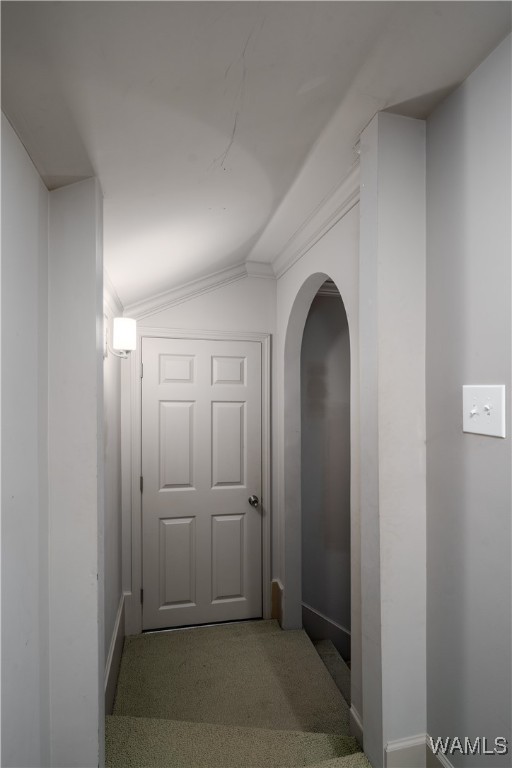 1 Ridgeland, Tuscaloosa, Alabama image 23