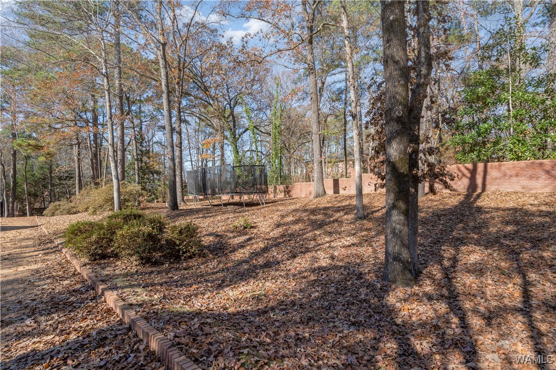 1 Ridgeland, Tuscaloosa, Alabama image 14