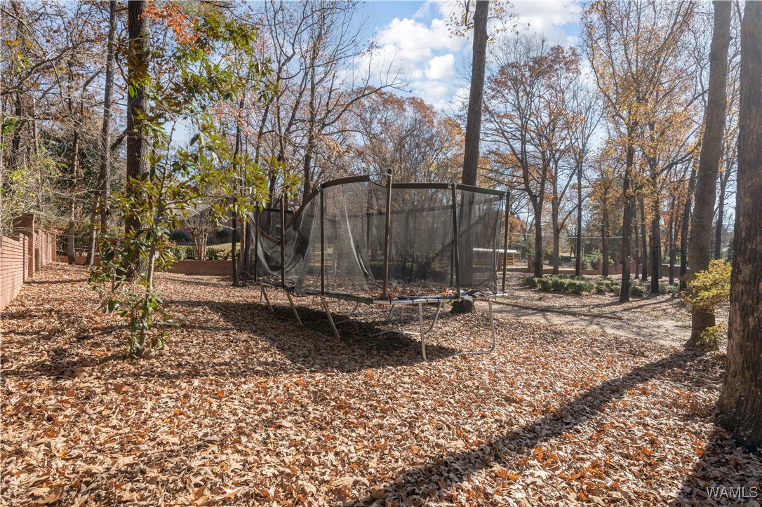 1 Ridgeland, Tuscaloosa, Alabama image 13