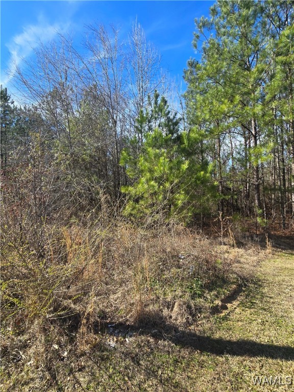 18 Timbertop Lane, Fosters, Alabama image 1