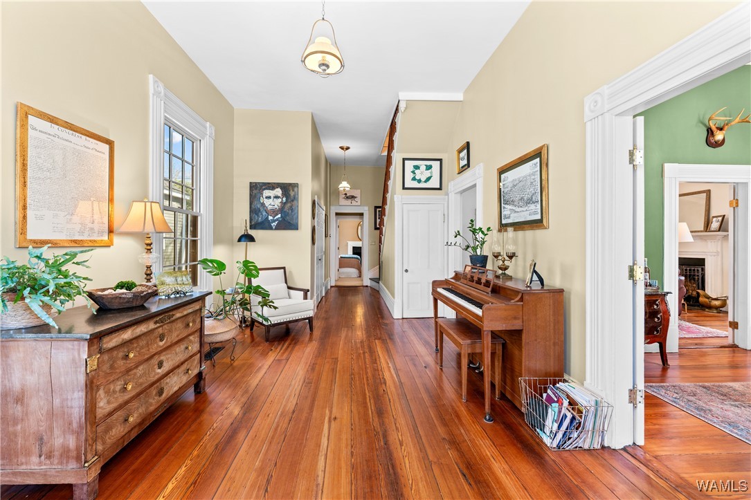 1817 3rd Street, Tuscaloosa, Alabama image 4