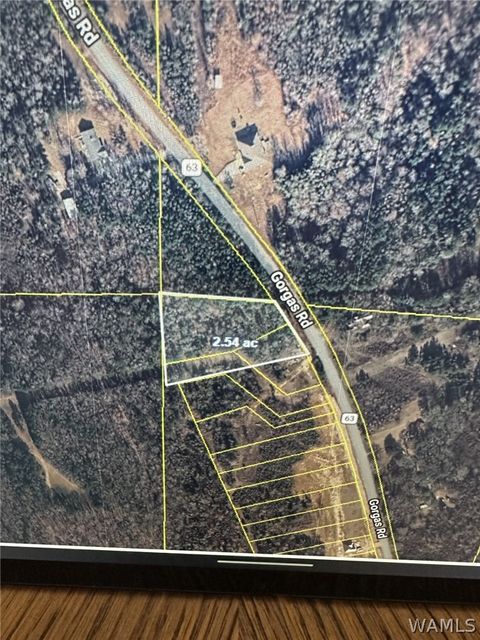 Vacant Land For Sale - 1 & 2 Gorgas Rd<br/> Berry, AL 35546