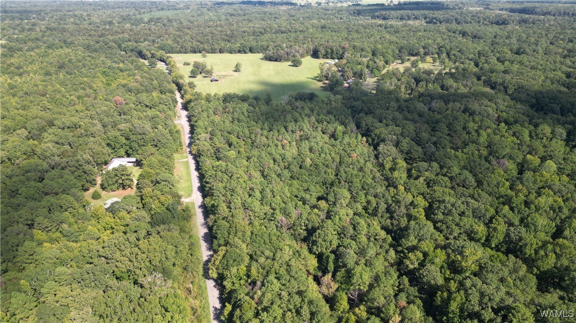 Co Rd 16, Greensboro, Alabama image 8