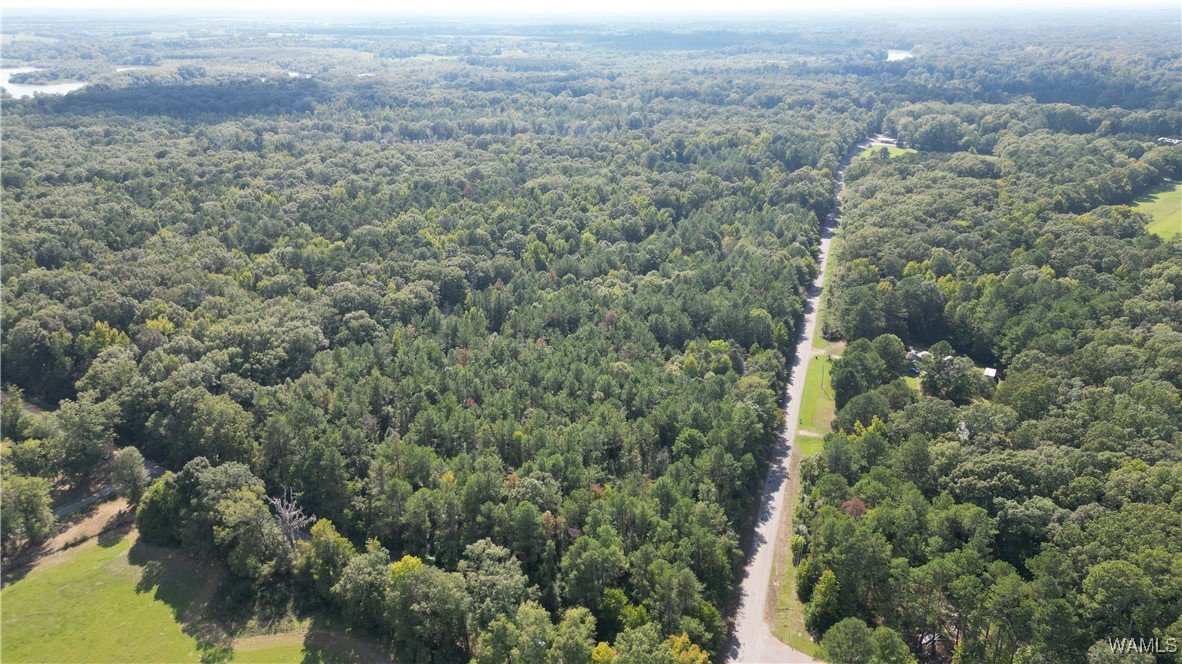 Co Rd 16, Greensboro, Alabama image 7