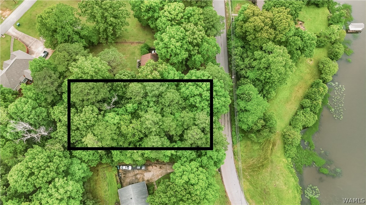 00 Allison Drive