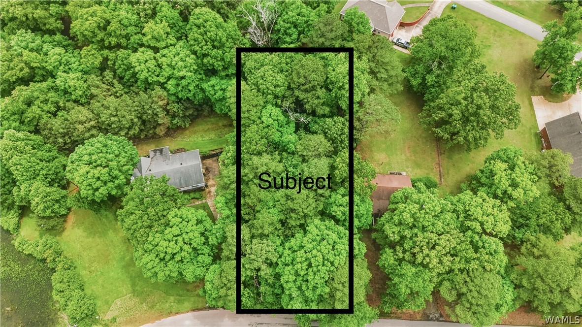 00 Allison Drive