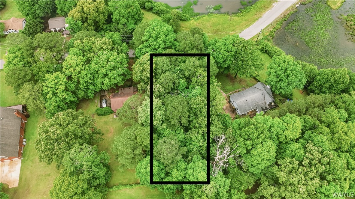 00 Allison Drive