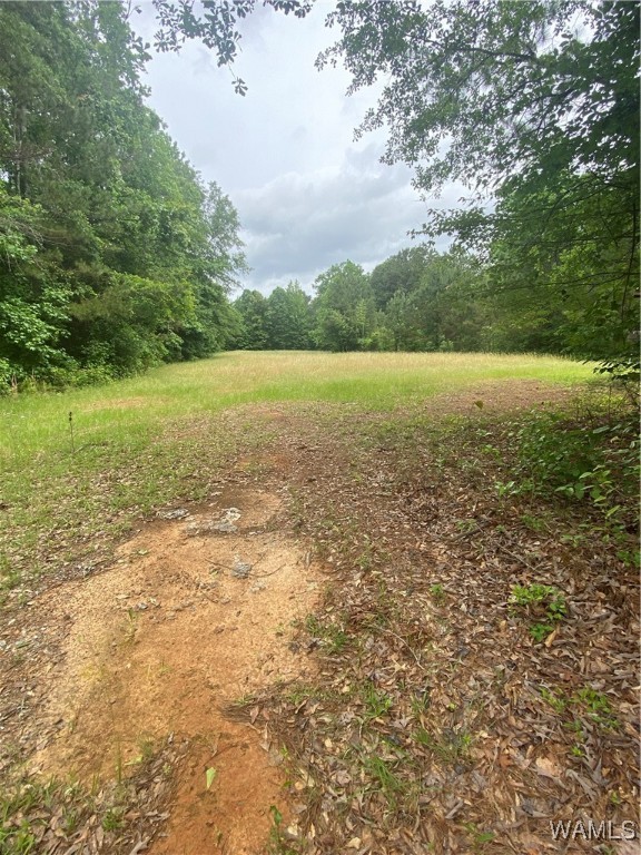 1157 Lewis Crossroads, Carrollton, Alabama image 5