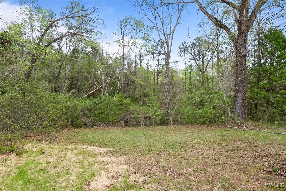 10859 Reece Road, Elrod, Alabama image 27