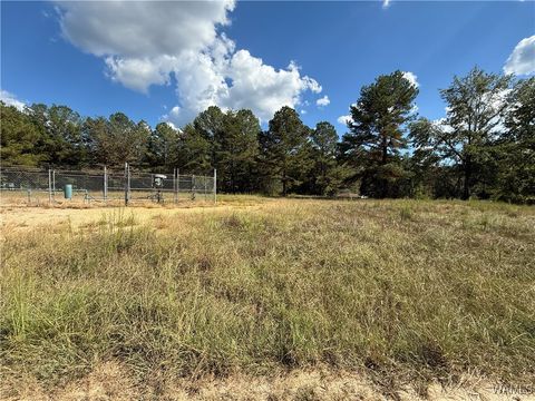 Vacant Land For Sale - Hurricane Valley Road<br/> Brookwood, AL 35444