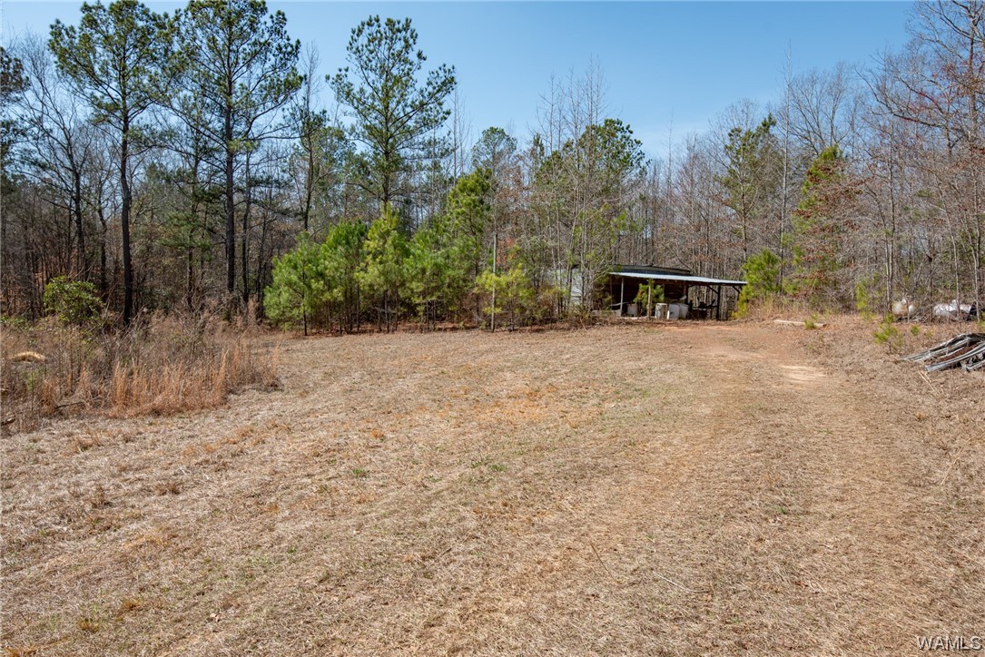 00 County Rd 57 Rd, Gordo, Alabama image 16