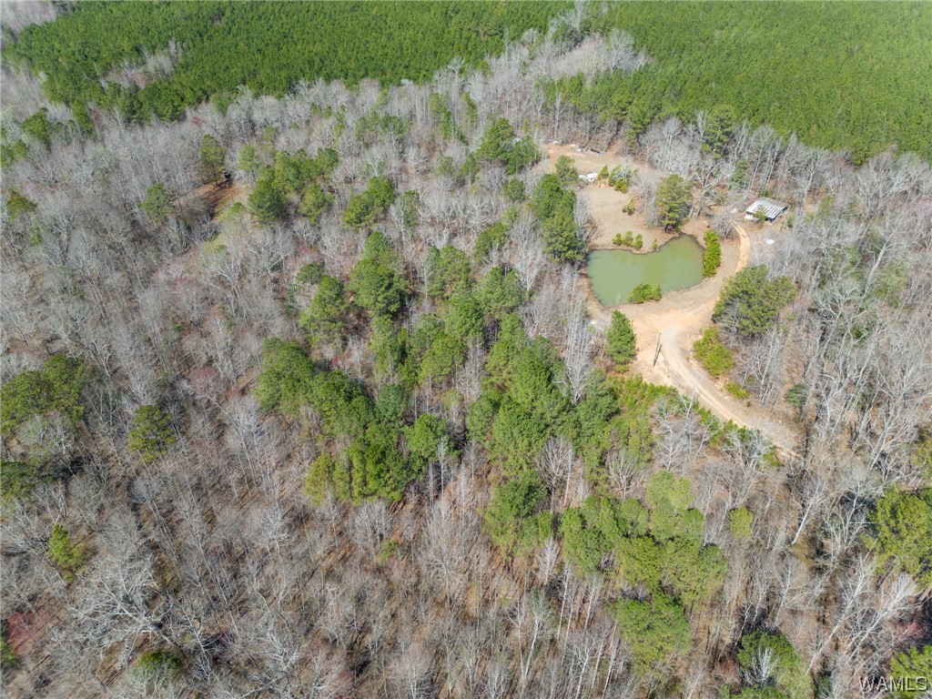 00 County Rd 57 Rd, Gordo, Alabama image 22