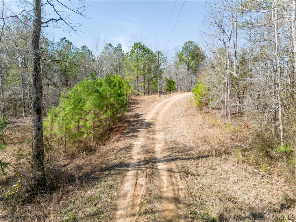 00 County Rd 57 Rd, Gordo, Alabama image 41