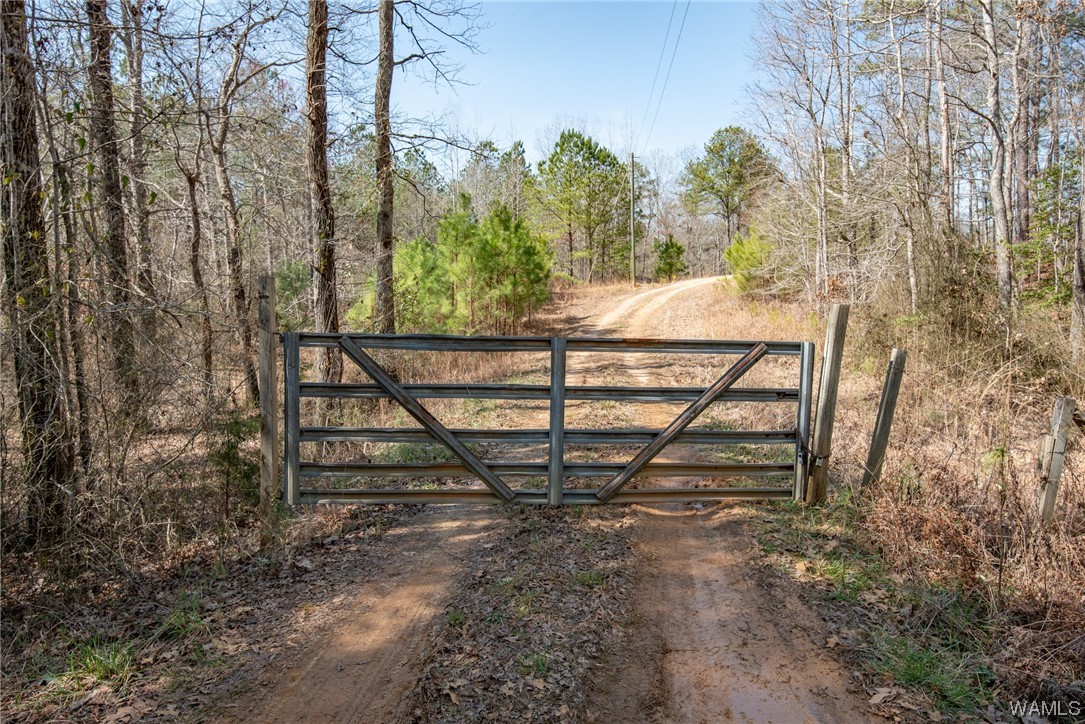 00 County Rd 57 Rd, Gordo, Alabama image 7