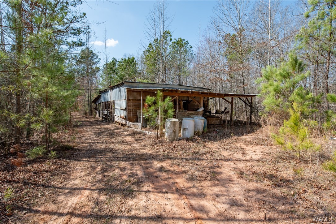 00 County Rd 57 Rd, Gordo, Alabama image 13