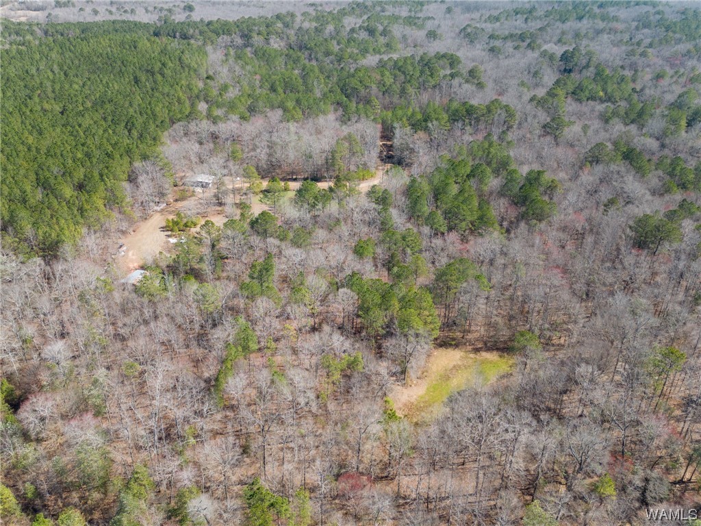 00 County Rd 57 Rd, Gordo, Alabama image 25