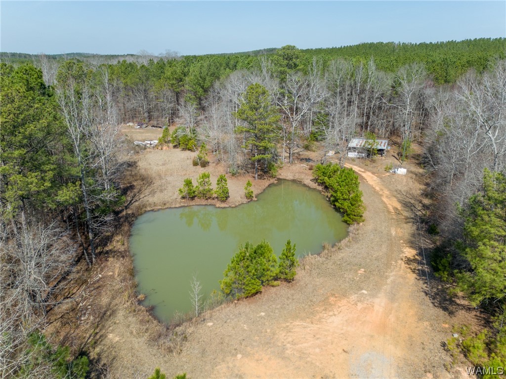 00 County Rd 57 Rd, Gordo, Alabama image 40