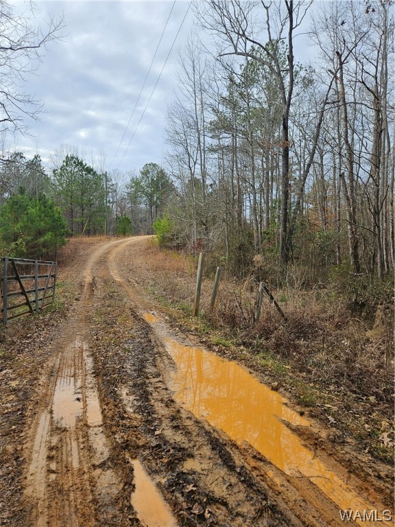 00 County Rd 57 Rd, Gordo, Alabama image 9