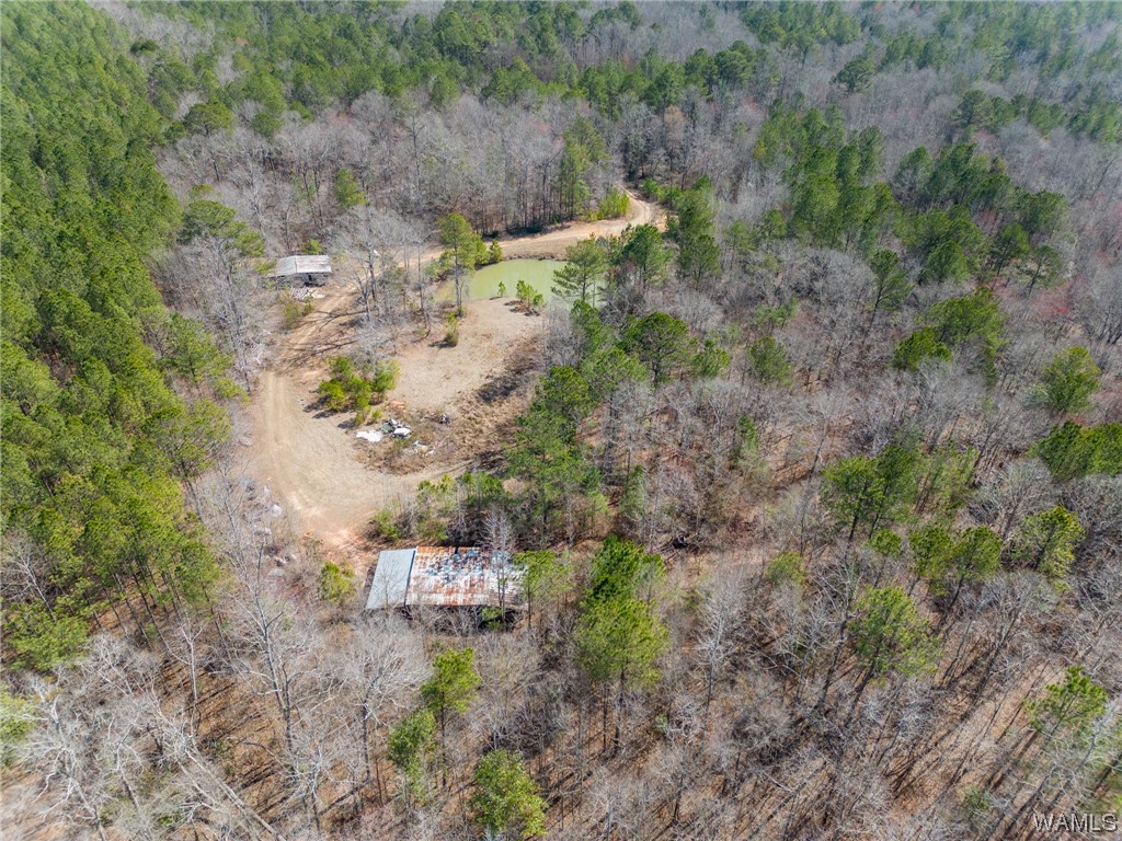 00 County Rd 57 Rd, Gordo, Alabama image 31