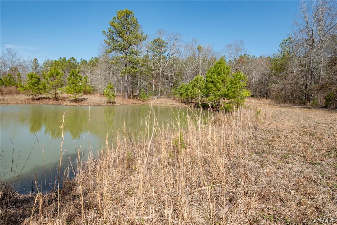 00 County Rd 57 Rd, Gordo, Alabama image 8