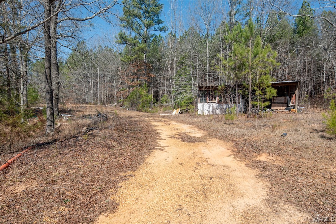 00 County Rd 57 Rd, Gordo, Alabama image 11