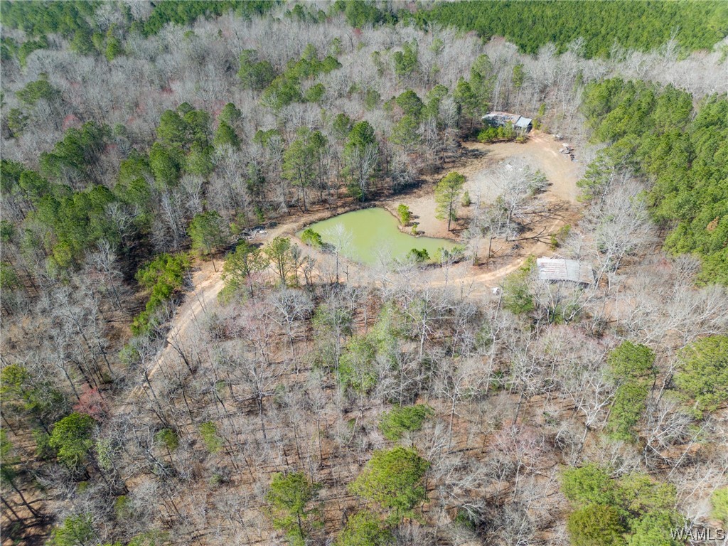 00 County Rd 57 Rd, Gordo, Alabama image 36