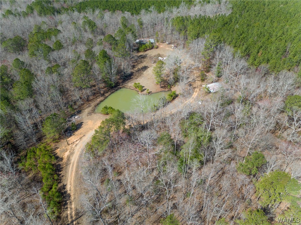 00 County Rd 57 Rd, Gordo, Alabama image 37