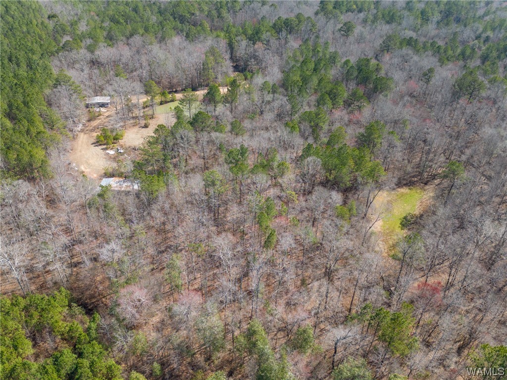 00 County Rd 57 Rd, Gordo, Alabama image 29