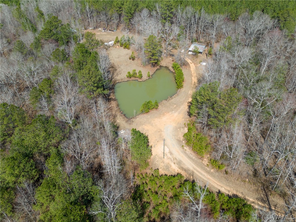 00 County Rd 57 Rd, Gordo, Alabama image 39