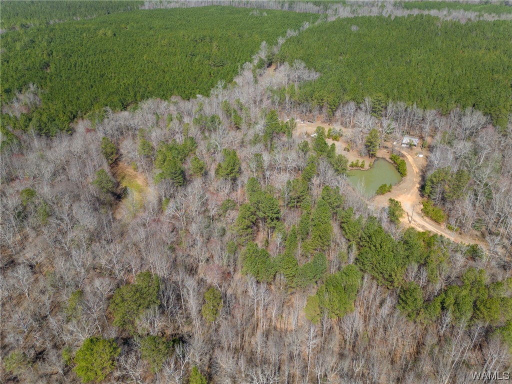 00 County Rd 57 Rd, Gordo, Alabama image 23