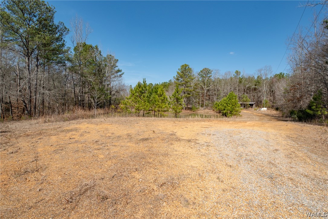 00 County Rd 57 Rd, Gordo, Alabama image 14