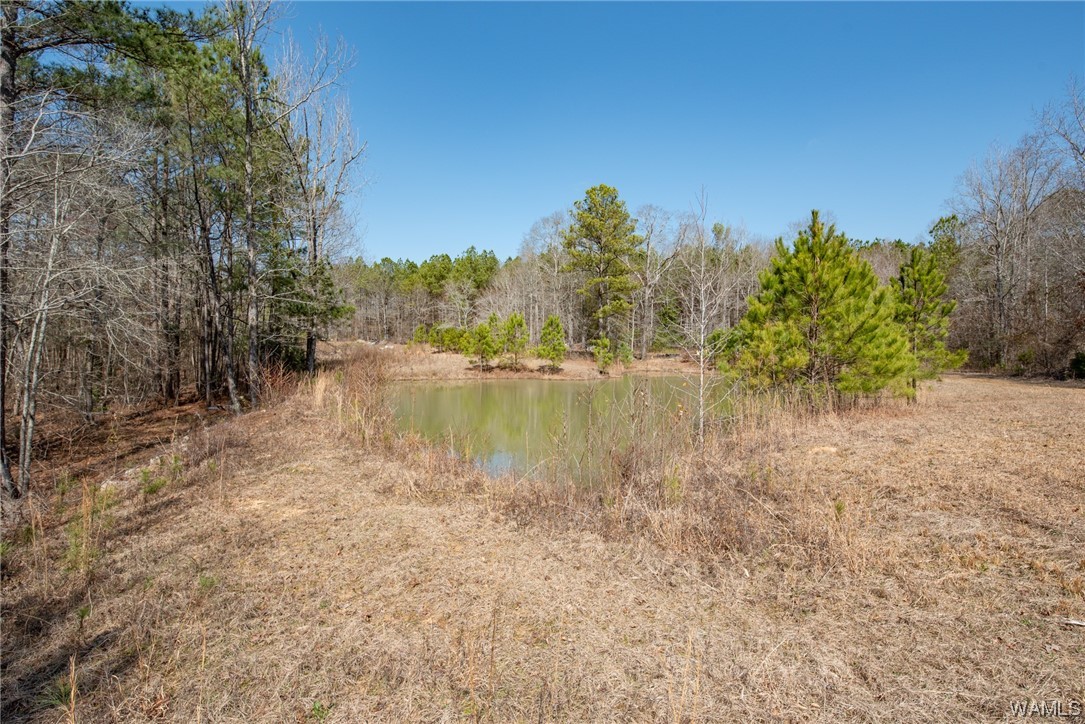 00 County Rd 57 Rd, Gordo, Alabama image 15