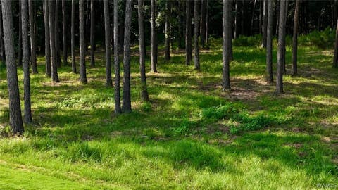 Vacant Land For Sale - 14220 Watercolor Drive Dr<br/> North Port, AL 35475