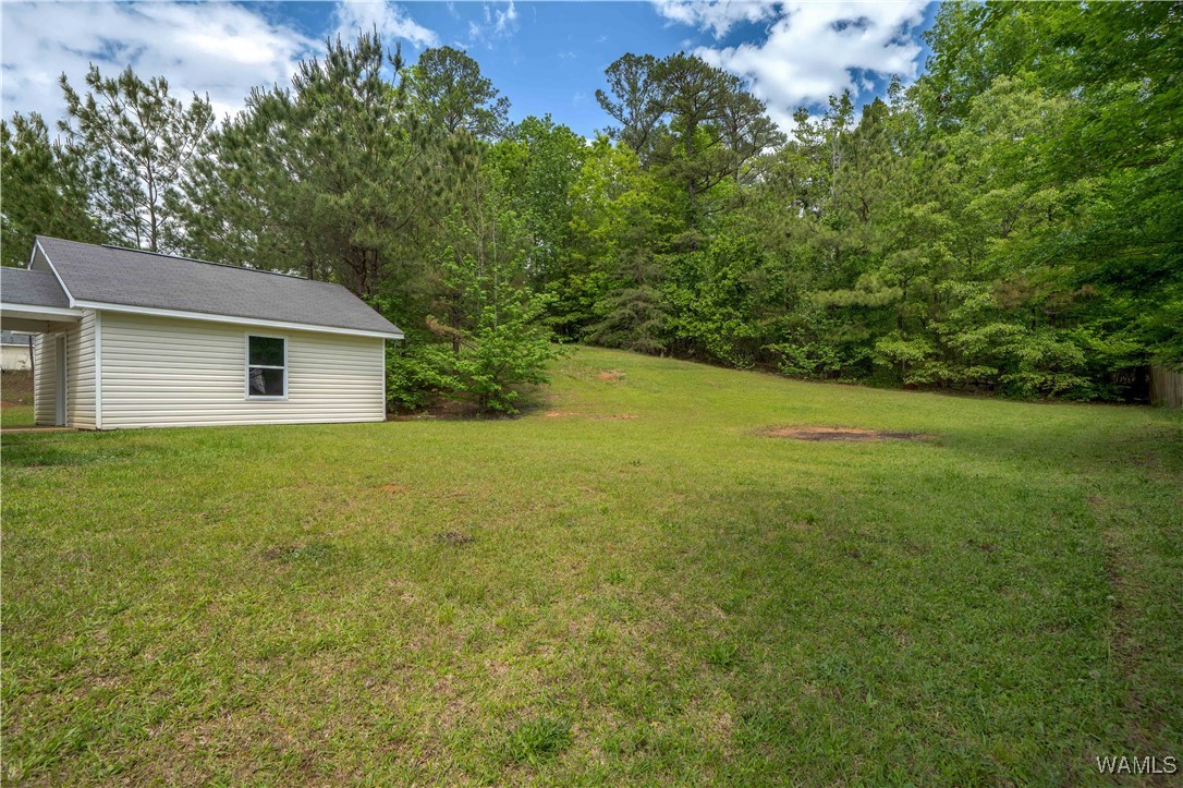 15614 Hagler Dr Dr, Coaling, Alabama image 31