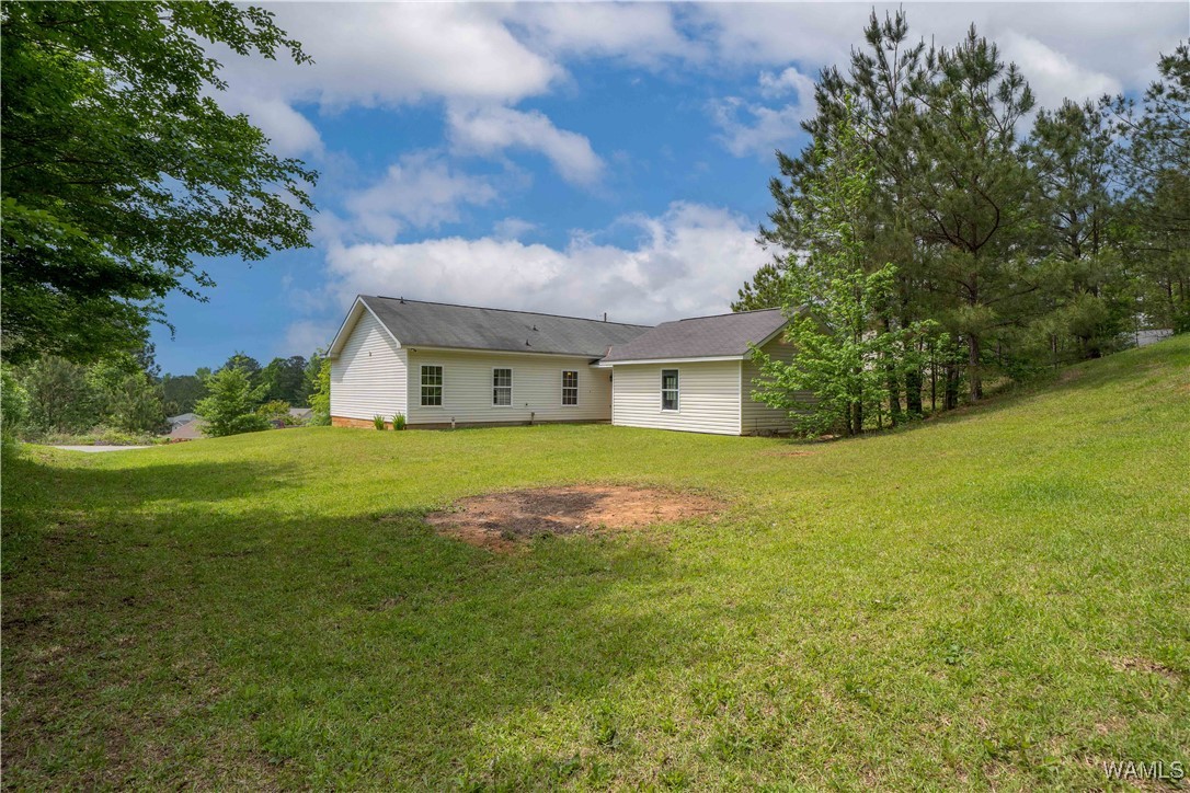 15614 Hagler Dr Dr, Coaling, Alabama image 4