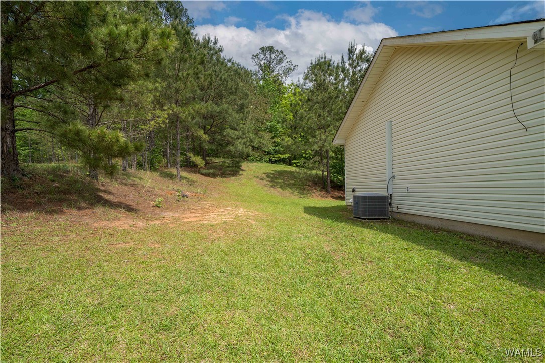 15614 Hagler Dr Dr, Coaling, Alabama image 33