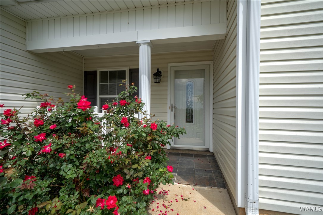 15614 Hagler Dr Dr, Coaling, Alabama image 2