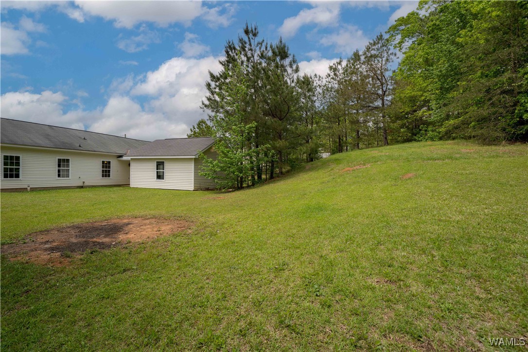 15614 Hagler Dr Dr, Coaling, Alabama image 32