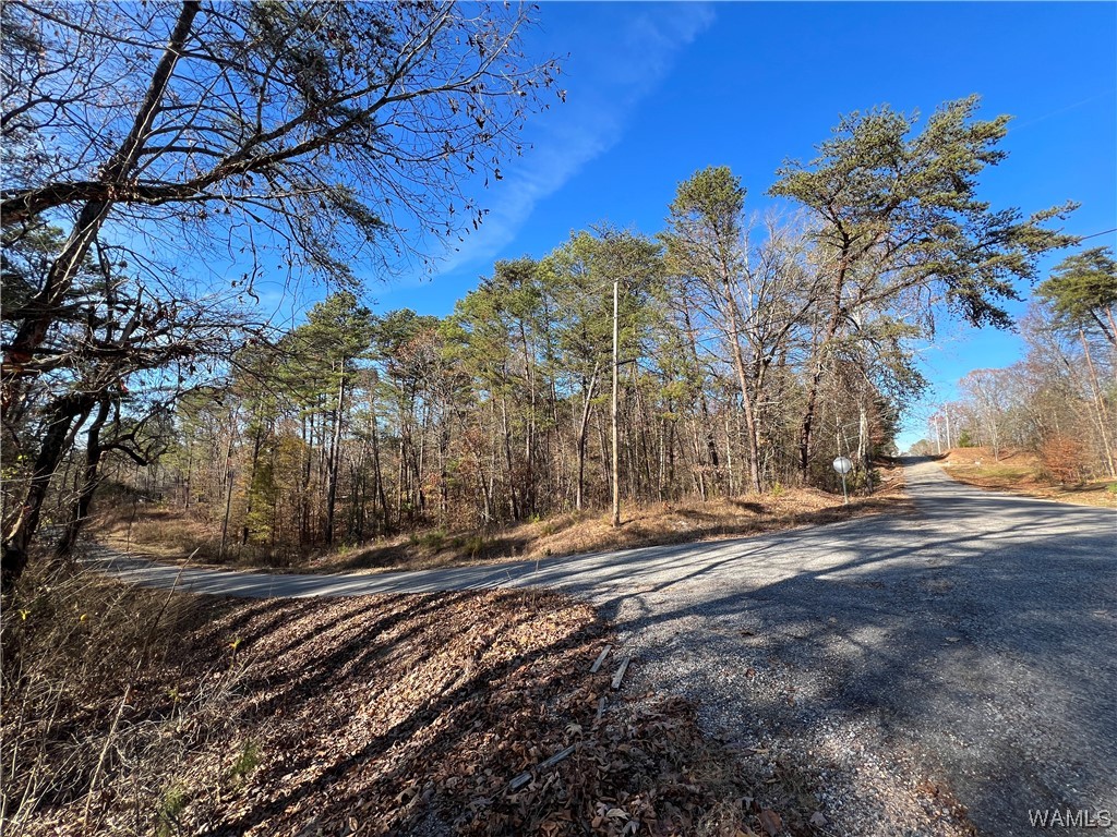 Becky Drive, Mccalla, Alabama image 3