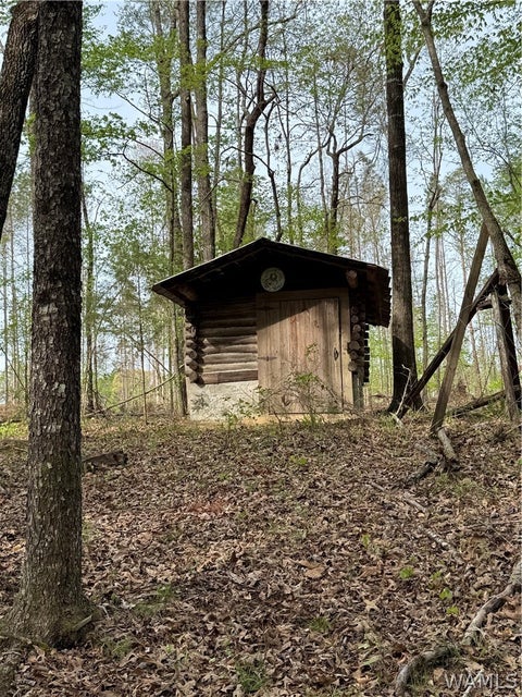 Vacant Land For Sale - Samson Clements Loop Rd<br/> Berry, AL 35546