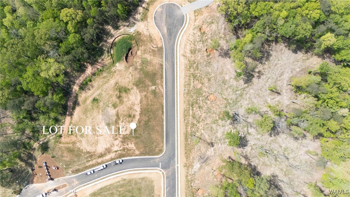 72 Santorini Street, Tuscaloosa, Alabama image 3