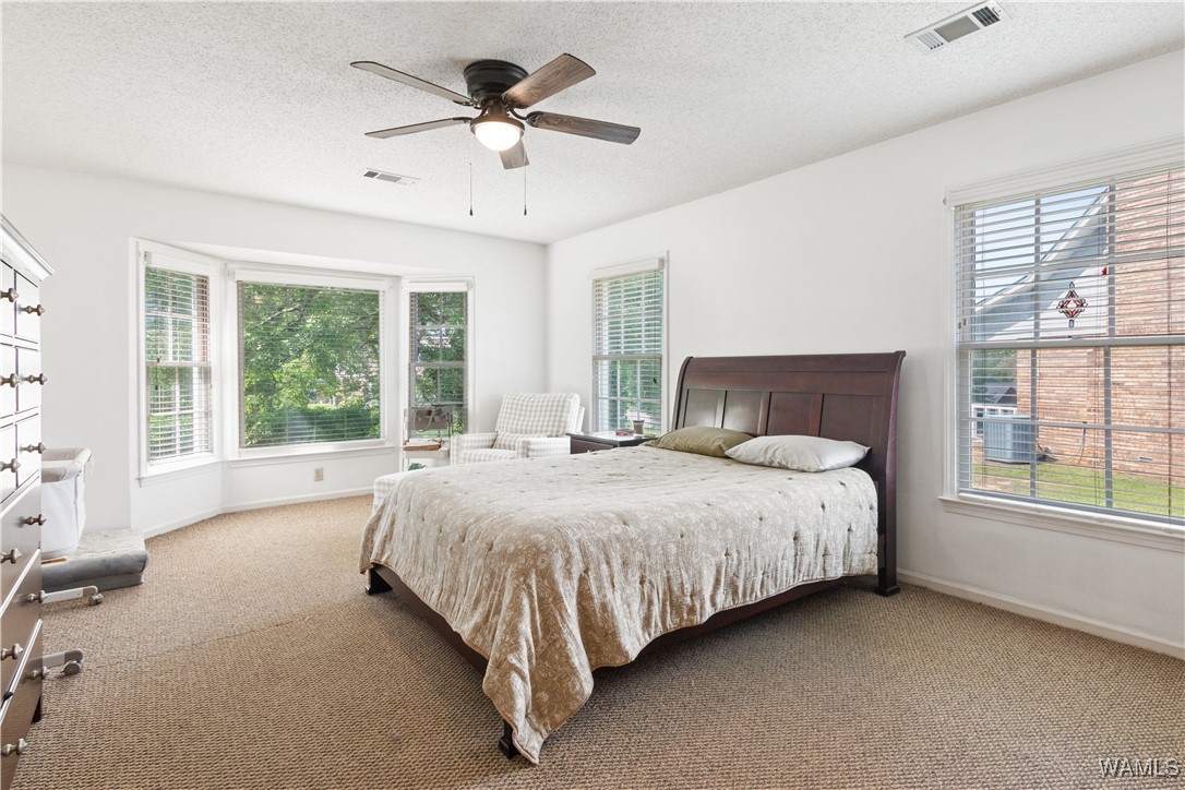 5321 Summerfield Drive, Tuscaloosa, Alabama image 20